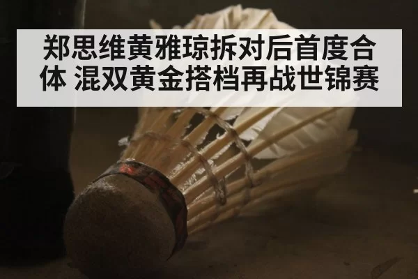 郑思维黄雅琼拆对后首度合体 混双黄金搭档再战世锦赛