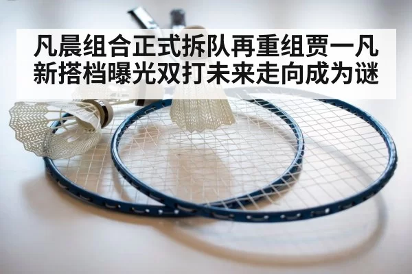 badminton racket and shuttlecock